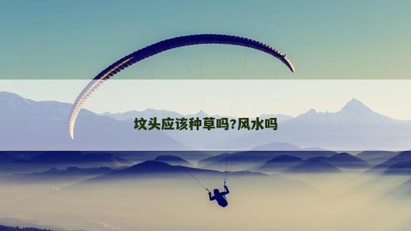 墳頭應該種草嗎?風水嗎