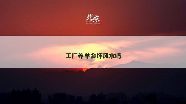 工廠養(yǎng)羊會壞風水嗎