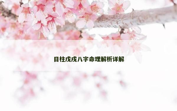 日柱戊戌八字命理解析詳解
