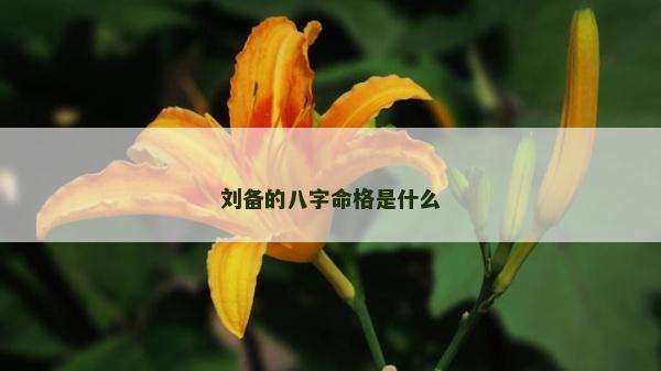 劉備的八字命格是什么