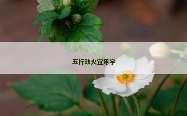 五行缺火宜用字 五行缺火宜用字