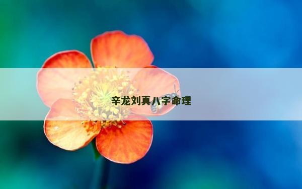 辛龍劉真八字命理