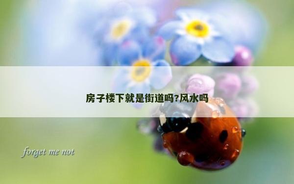 房子樓下就是街道嗎?風(fēng)水嗎