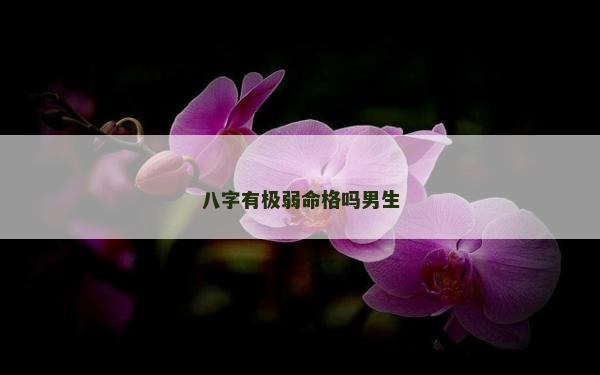 八字有極弱命格嗎男生