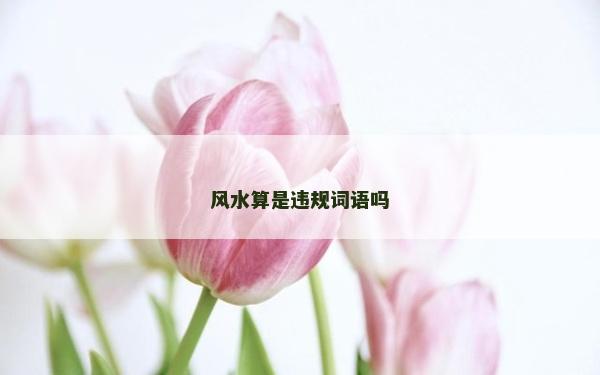 風水算是違規詞語嗎