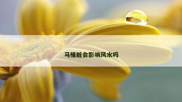 馬桶臟會影響風水嗎
