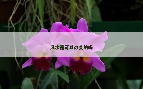 風(fēng)水是可以改變的嗎