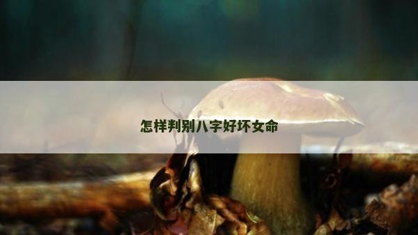 怎樣判別八字好壞女命
