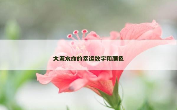 大海水命的幸運數字和顏色