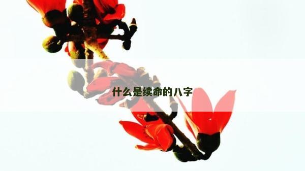 什么是續命的八字