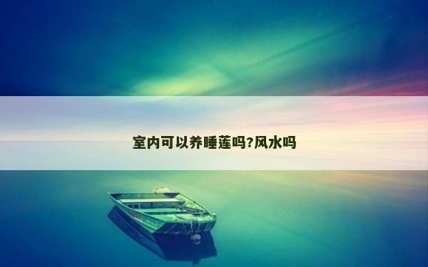 室內可以養睡蓮嗎?風水嗎