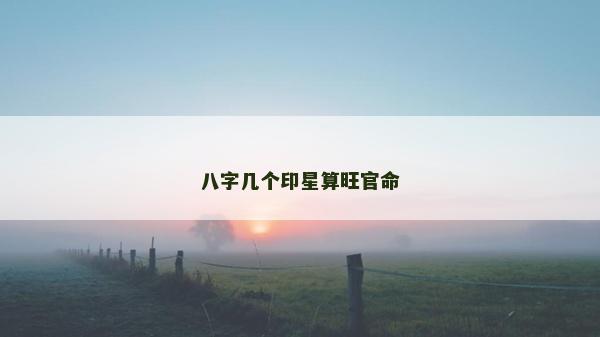 八字幾個印星算旺官命