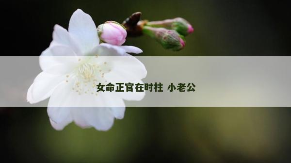 女命正官在時柱 小老公