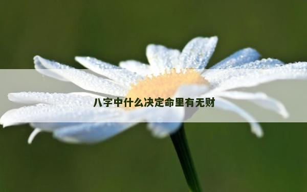 八字中什么決定命里有無財