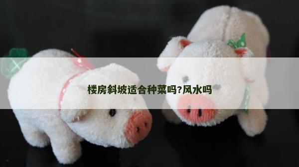 樓房斜坡適合種菜嗎?風(fēng)水嗎
