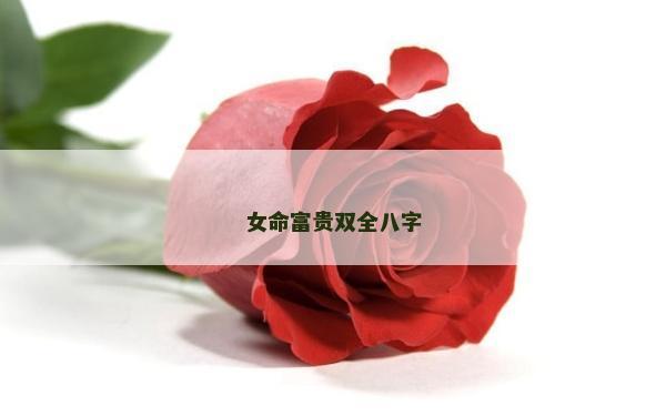 女命富貴雙全八字