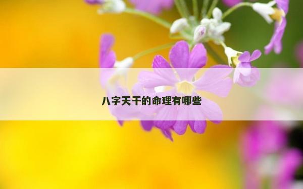 八字天干的命理有哪些