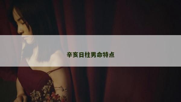 辛亥日柱男命特點