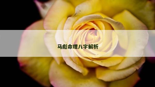 馬彪命理八字解析