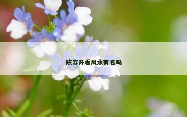 陳壽升看風水有名嗎 陳壽升看風水有名嗎