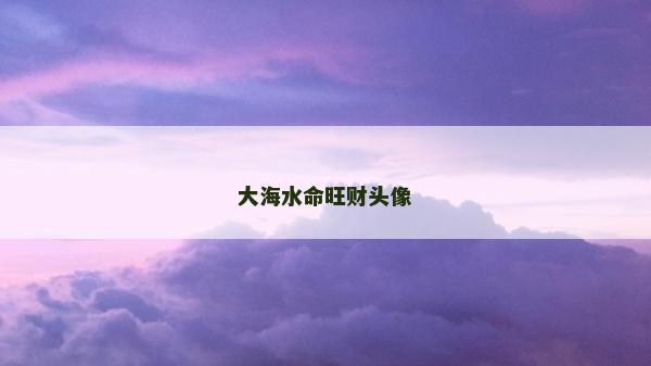 大海水命旺財頭像