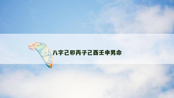 八字己卯丙子己酉壬申男命 八字己卯丙子己酉壬申男命