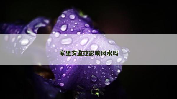 家里安監控影響風水嗎