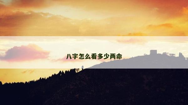 八字怎么看多少兩命