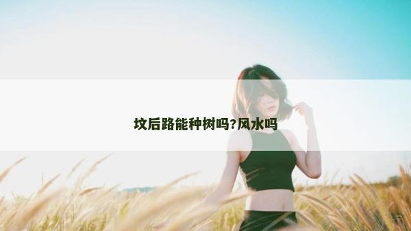 墳后路能種樹嗎?風水嗎