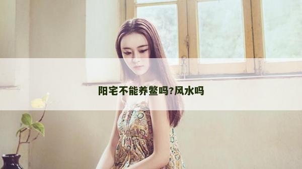 陽宅不能養鱉嗎?風水嗎