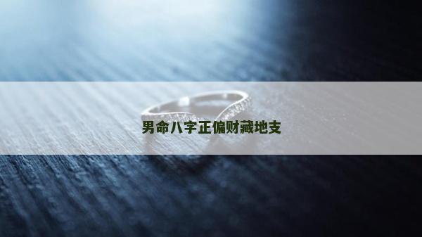 男命八字正偏財藏地支