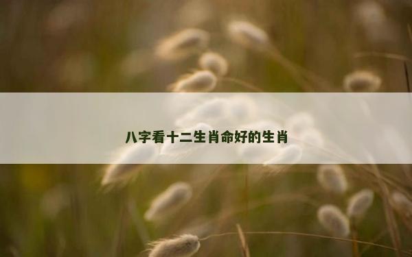 八字看十二生肖命好的生肖