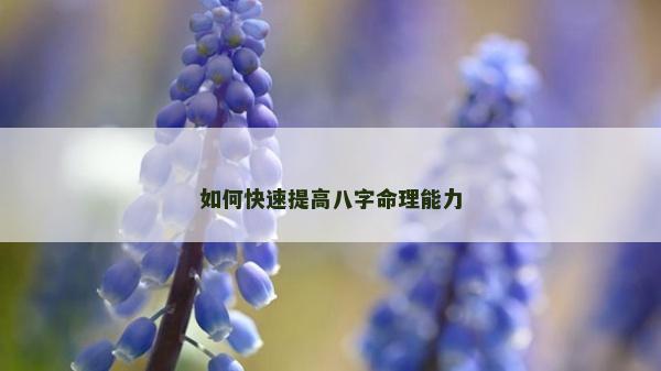 如何快速提高八字命理能力