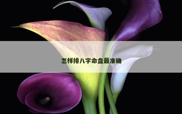 怎樣排八字命盤最準確