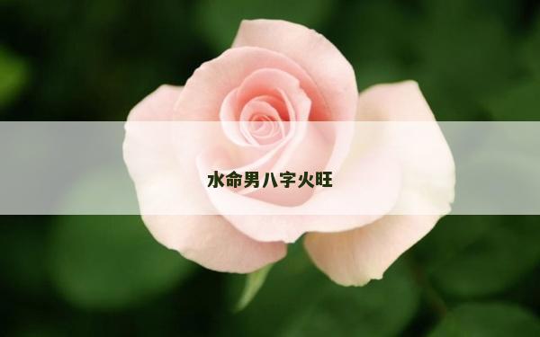 水命男八字火旺