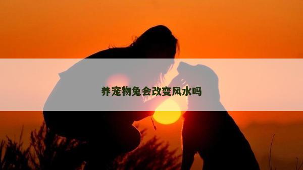 養寵物兔會改變風水嗎