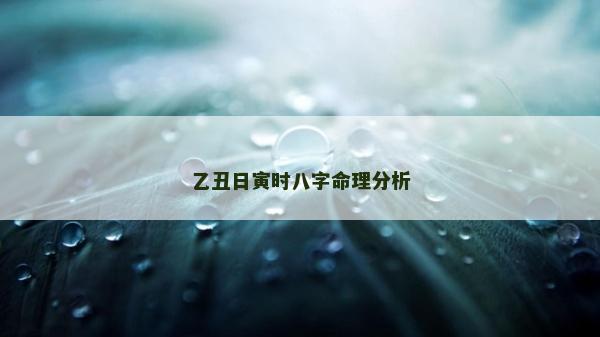 乙丑日寅時八字命理分析 乙丑日寅時八字命理分析