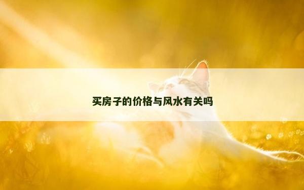 買房子的價(jià)格與風(fēng)水有關(guān)嗎