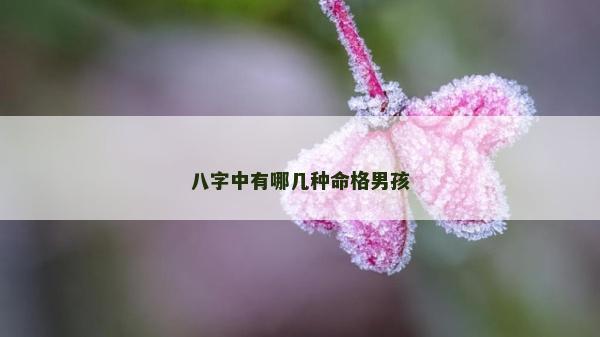 八字中有哪幾種命格男孩