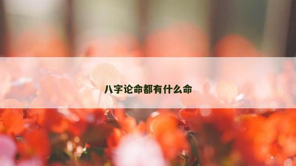 八字論命都有什么命