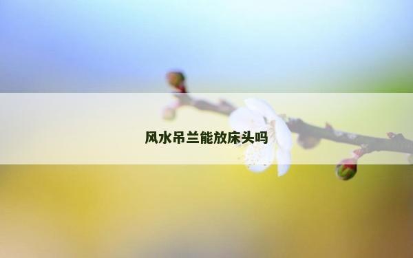 風水吊蘭能放床頭嗎