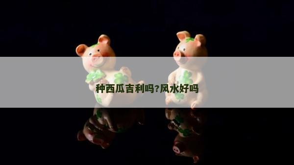 種西瓜吉利嗎?風(fēng)水好嗎 種西瓜吉利嗎?風(fēng)水好嗎