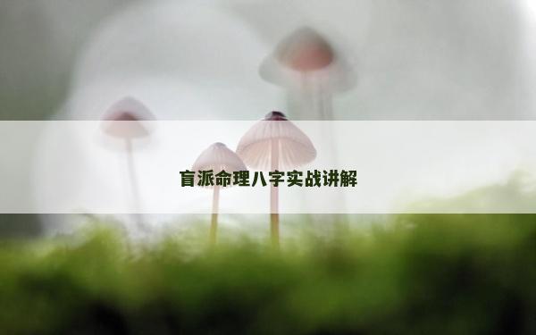 盲派命理八字實戰講解