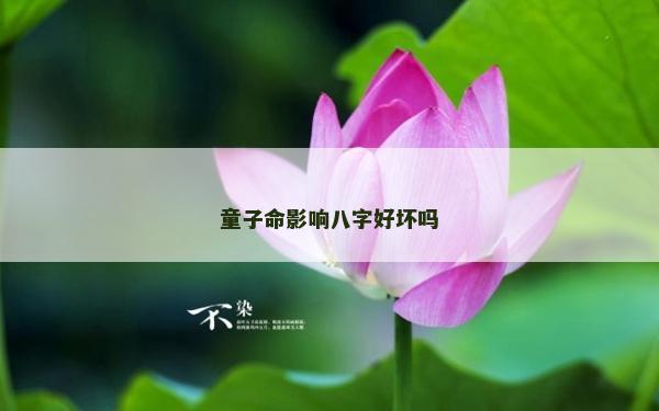 童子命影響八字好壞嗎