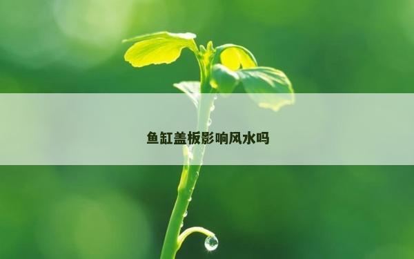 魚缸蓋板影響風水嗎
