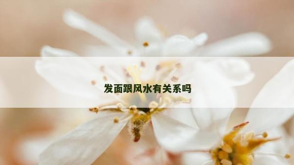 發(fā)面跟風(fēng)水有關(guān)系嗎
