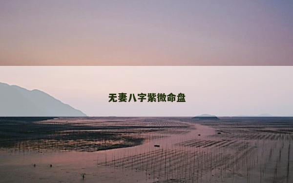 無妻八字紫微命盤 無妻八字紫微命盤
