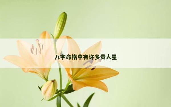 八字命格中有許多貴人星