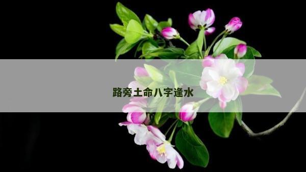 路旁土命八字逢水