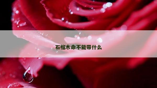 石榴木命不能帶什么